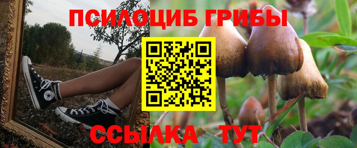 Галлюциногенные грибы мухоморы  Галлюциногенные грибы GOLDEN TEACHER  Майский  Вход с VPN 